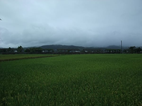 026.JPG 026.JPG