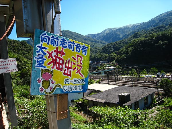 0029.JPG 0029.JPG