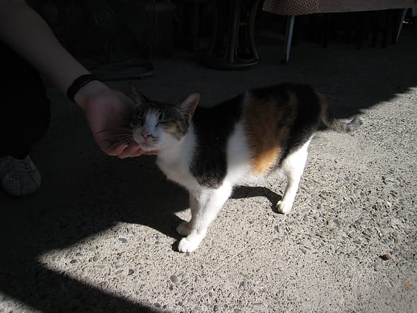 0063.JPG 0063.JPG