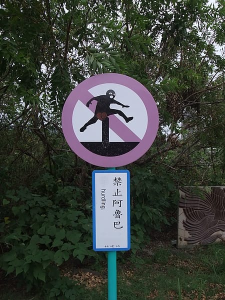 041.JPG