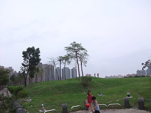 010.JPG