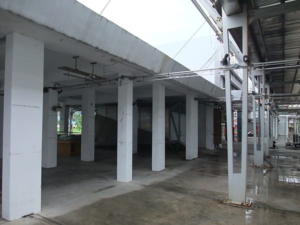 100601-004.JPG