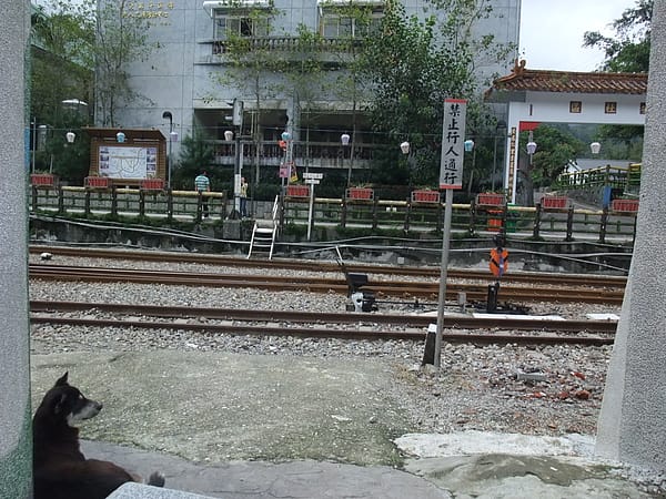 DSCF0225.JPG