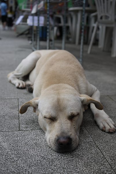 P1000531.JPG