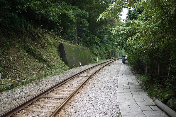 P1000643.JPG