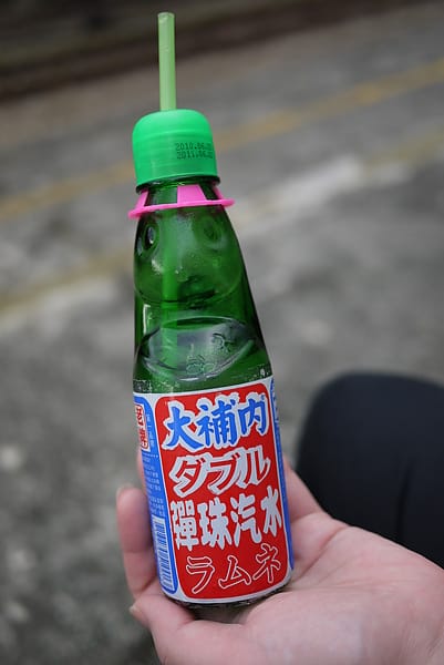 P1000786.JPG
