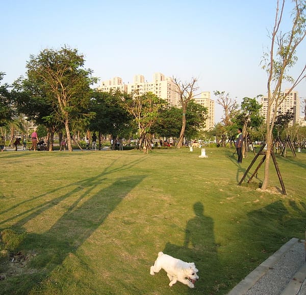 IMG_2457.JPG IMG_2457.JPG