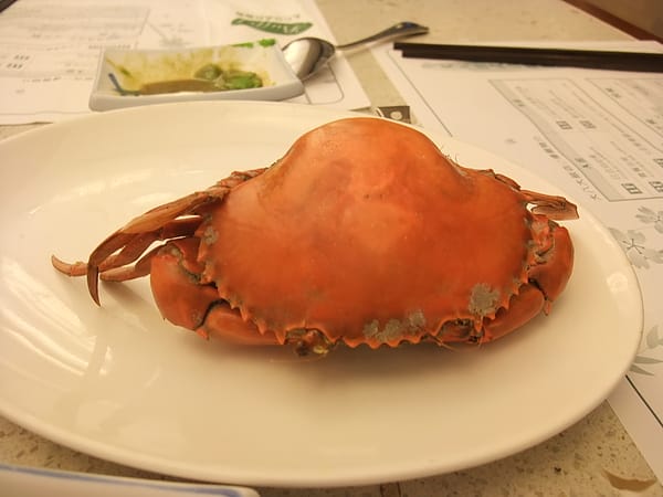 DSCF2454.JPG