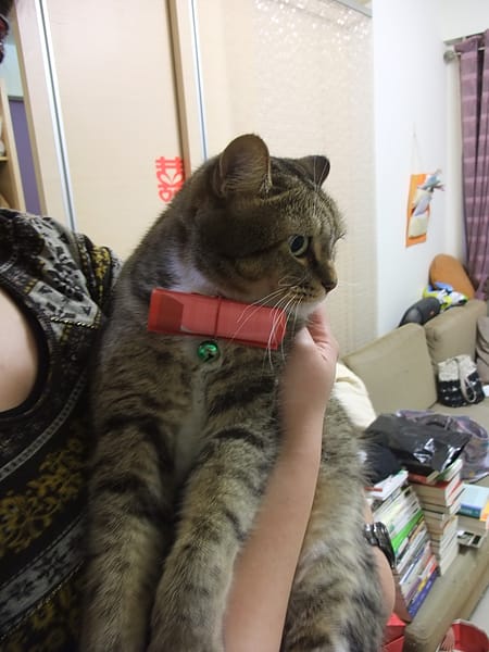 DSCF2899.JPG