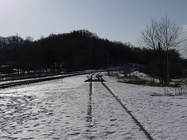 IMG_3450.JPG
