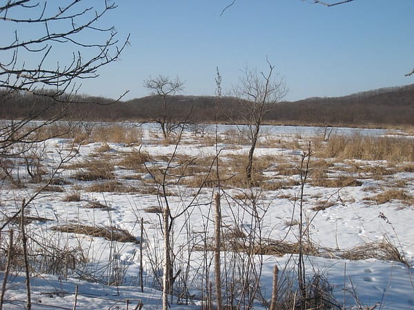 IMG_3461.JPG