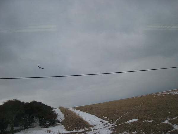 Day3-1 搭火車來去根室,日本太陽升起的地方 Day3-1 搭火車來去根室,日本太陽升起的地方