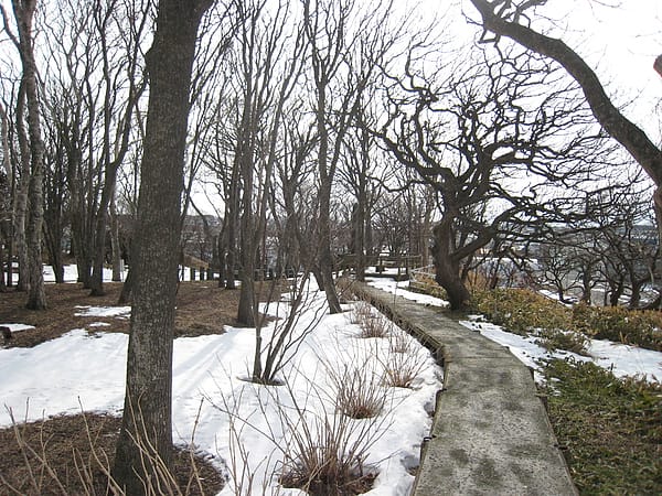 Day3-2 踏破根室半島 by Taxi