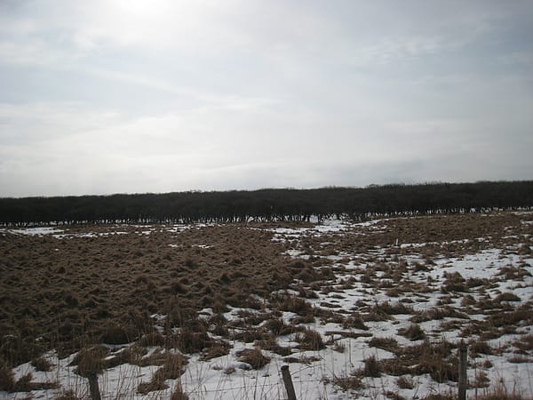 Day3-2 踏破根室半島 by Taxi