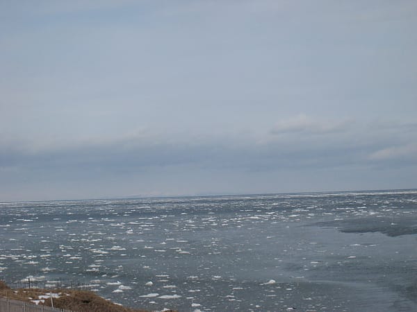 Day3-2 踏破根室半島 by Taxi