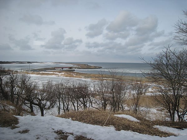 IMG_3939.JPG