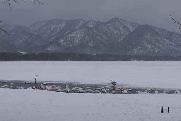 P1030894.JPG