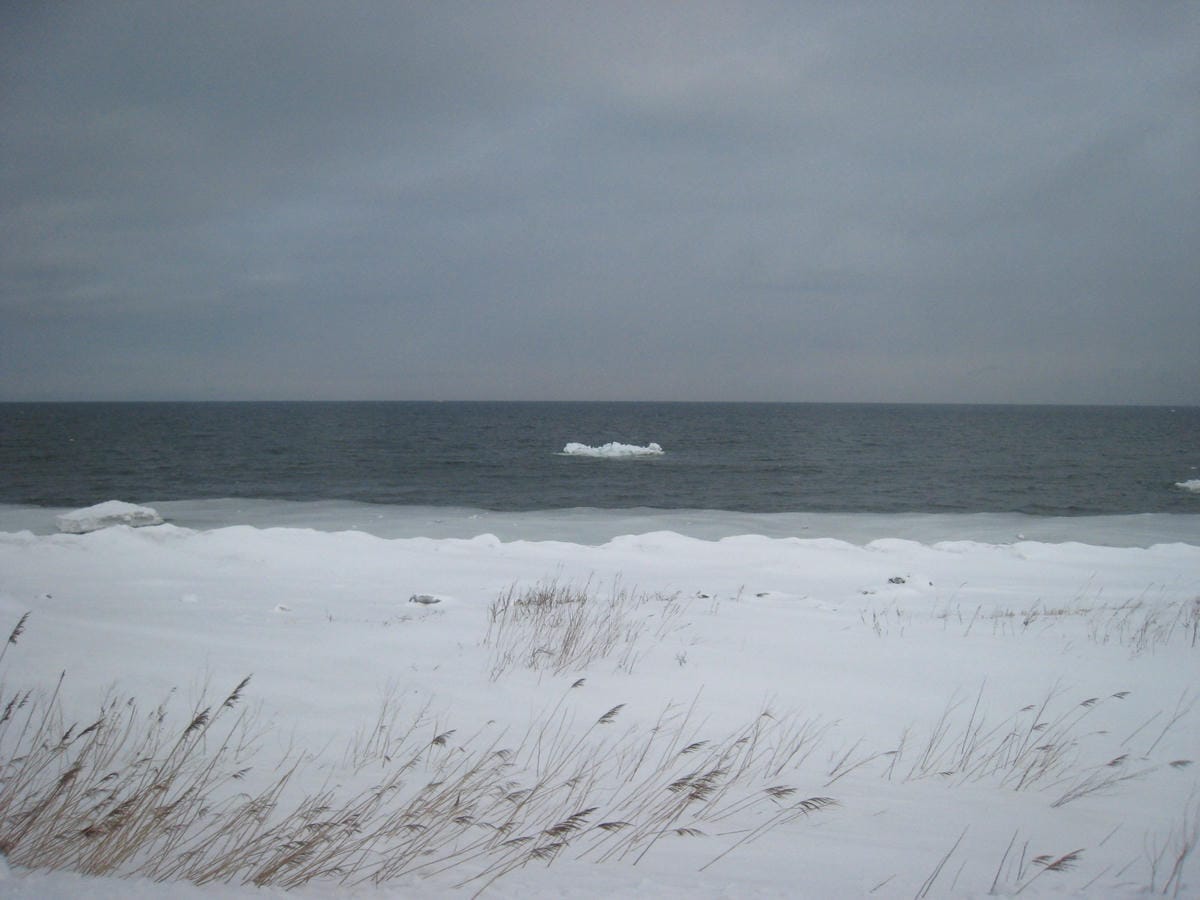 IMG_4200.JPG IMG_4200.JPG
