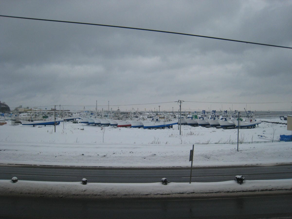 IMG_4230.JPG IMG_4230.JPG
