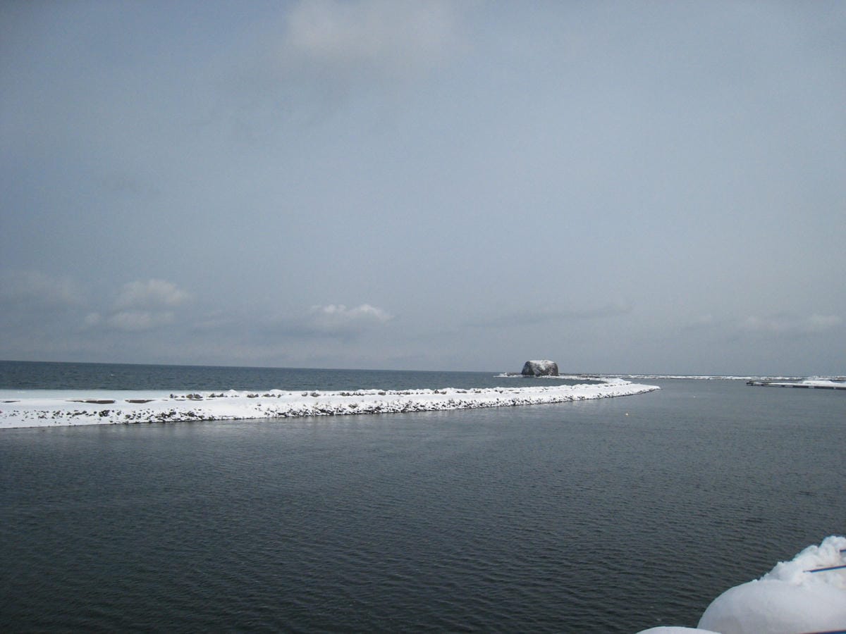 IMG_4282.JPG IMG_4282.JPG