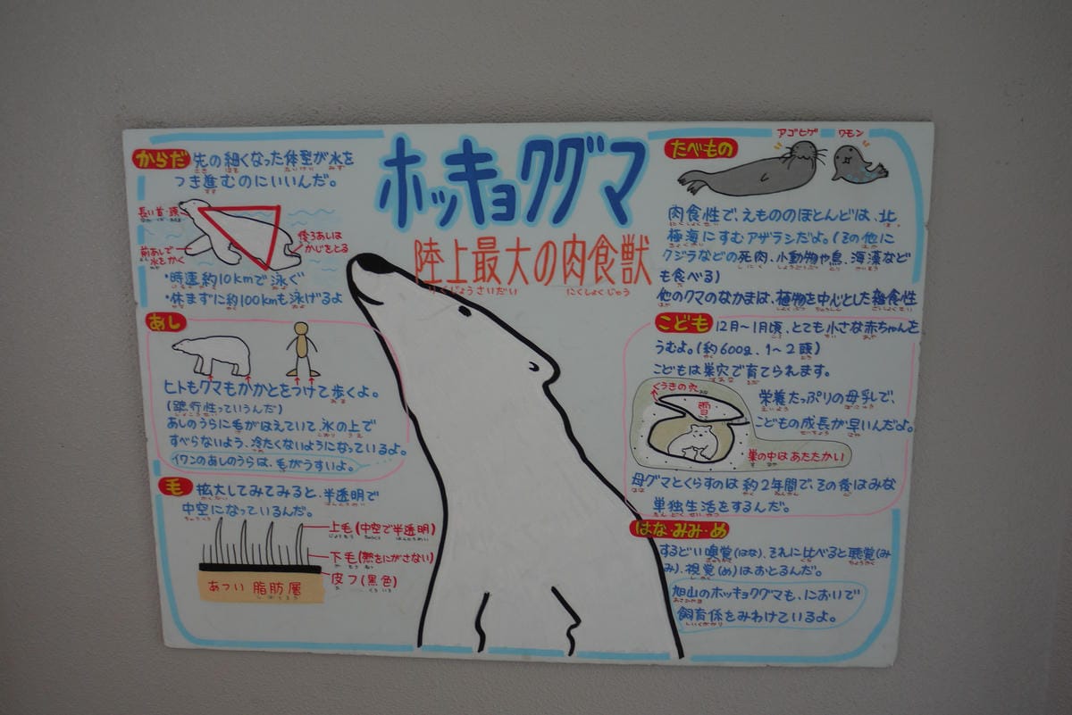 0065.JPG 0065.JPG