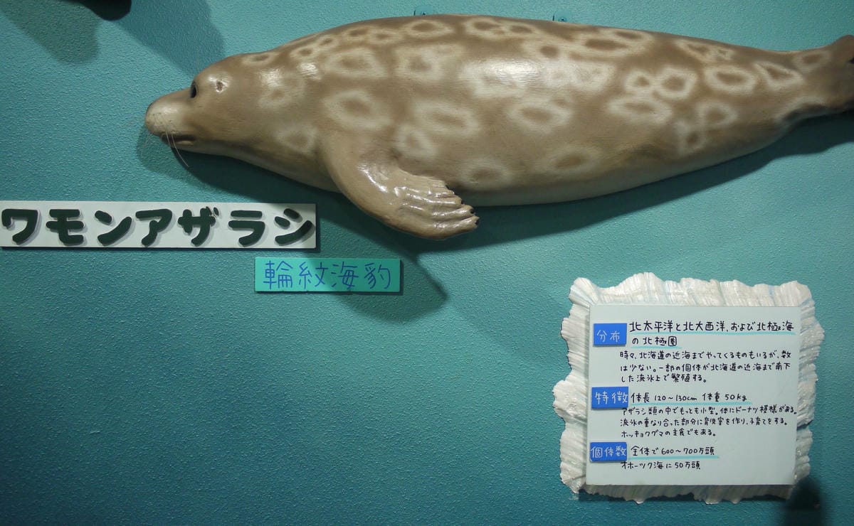 0037.JPG 0037.JPG