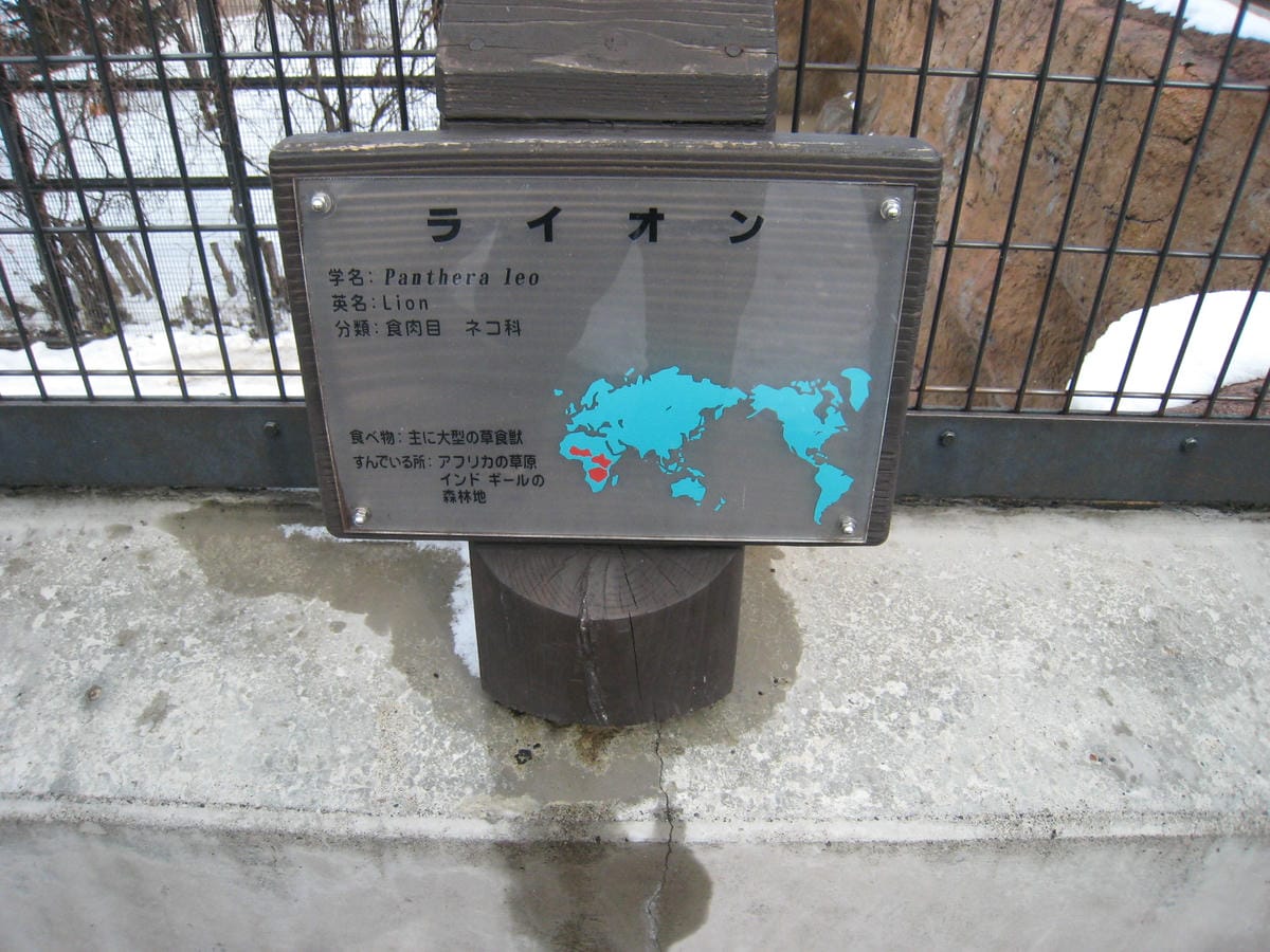 0047.JPG 0047.JPG