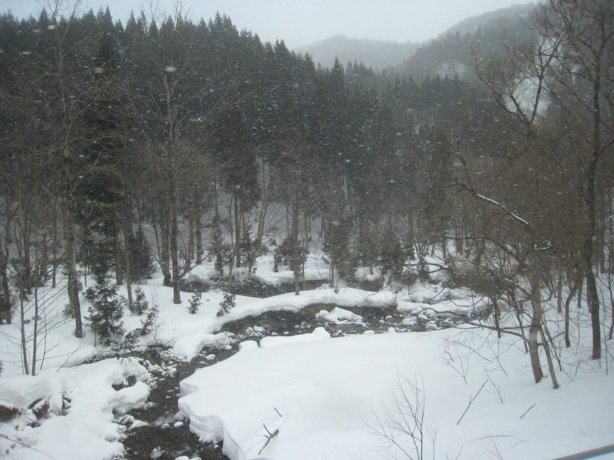 0027.JPG 0027.JPG