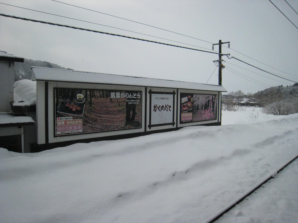 0053-3.JPG