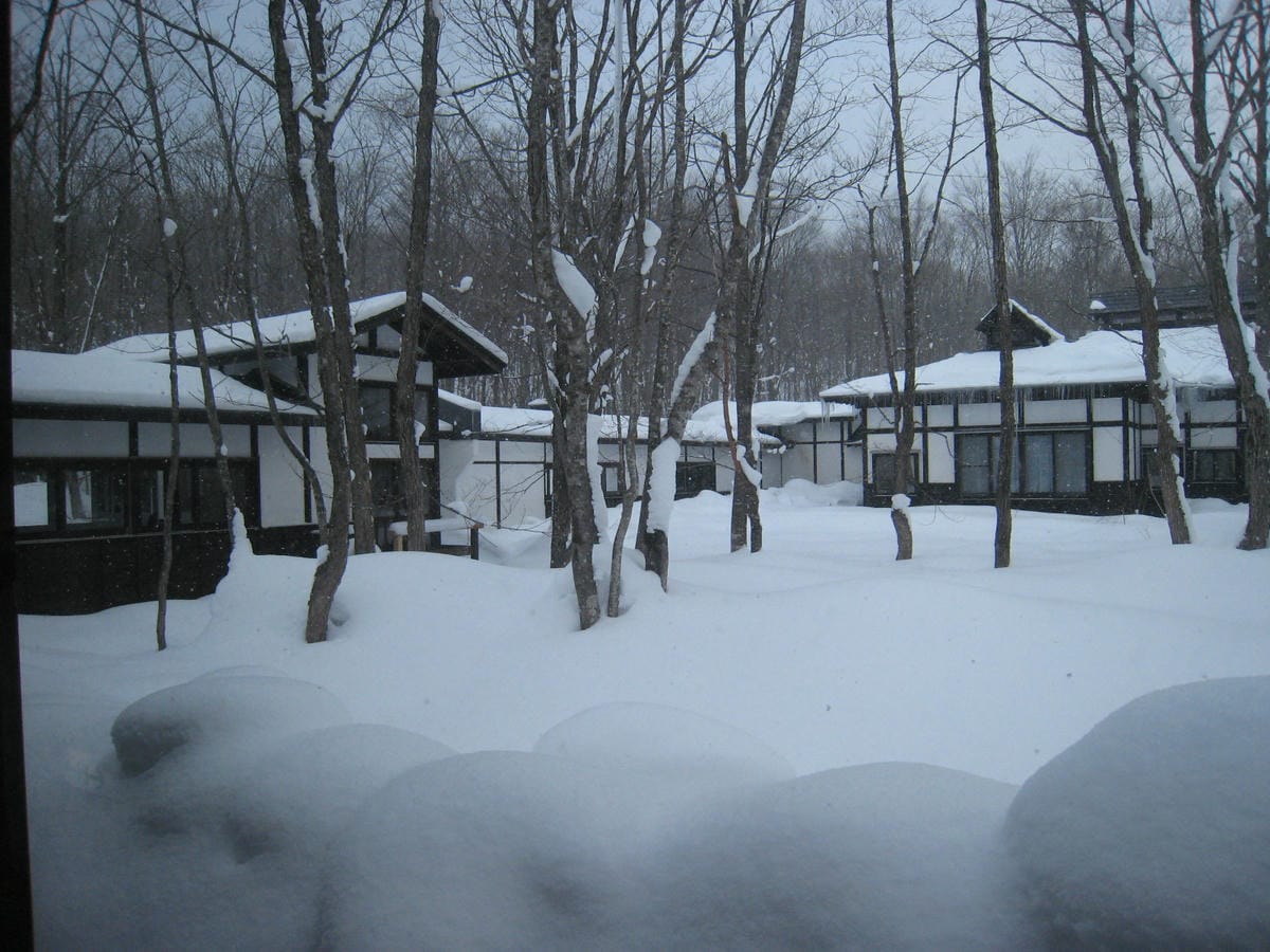 0020-1.JPG 0020-1.JPG