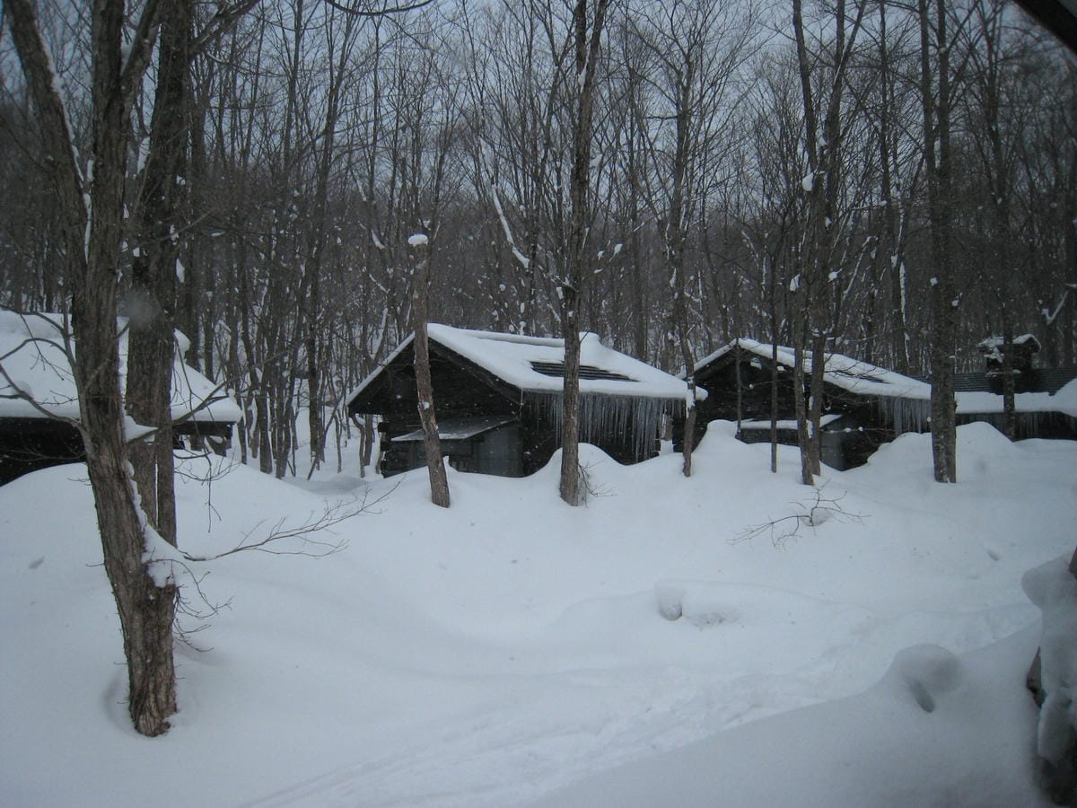 0020-2.JPG 0020-2.JPG