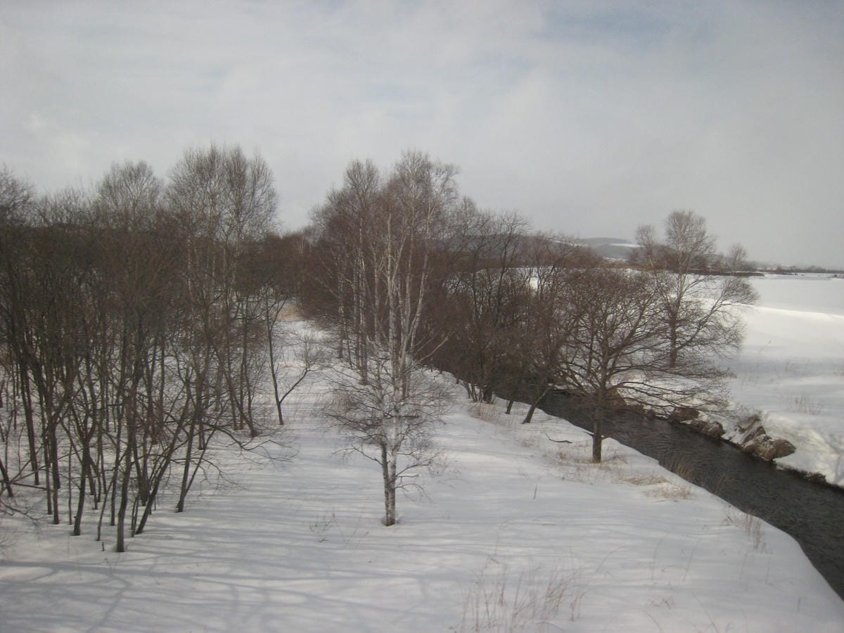0101.JPG 0101.JPG