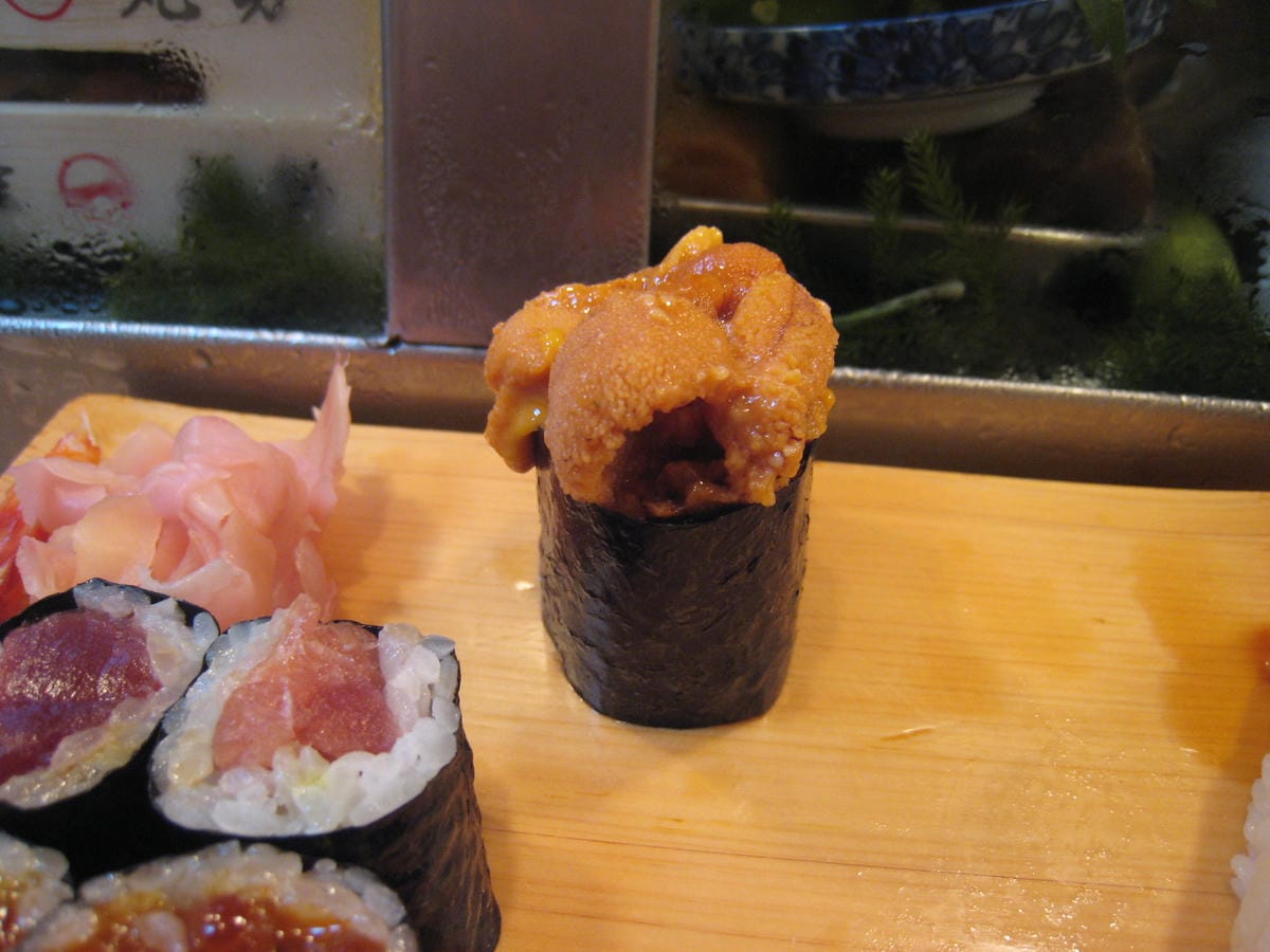 0025.JPG 0025.JPG