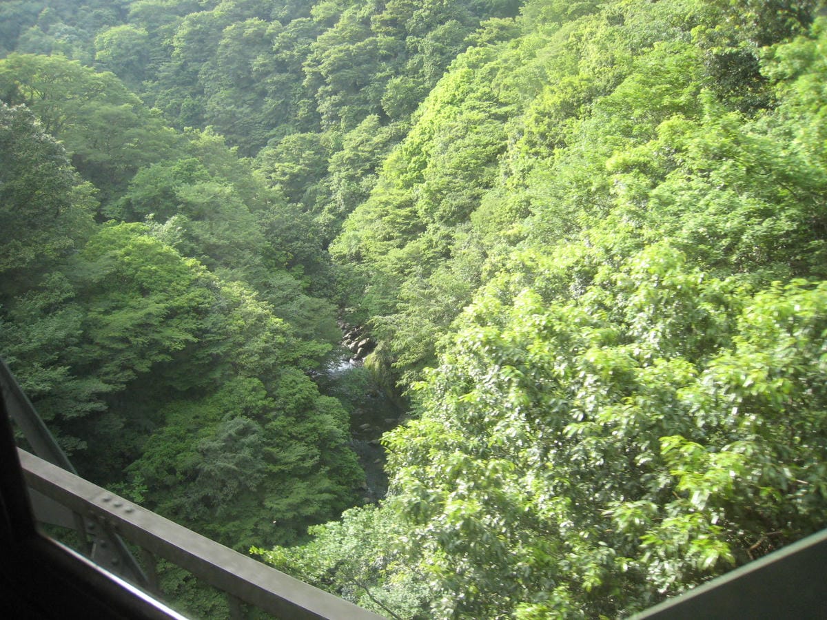 IMG_1539.JPG