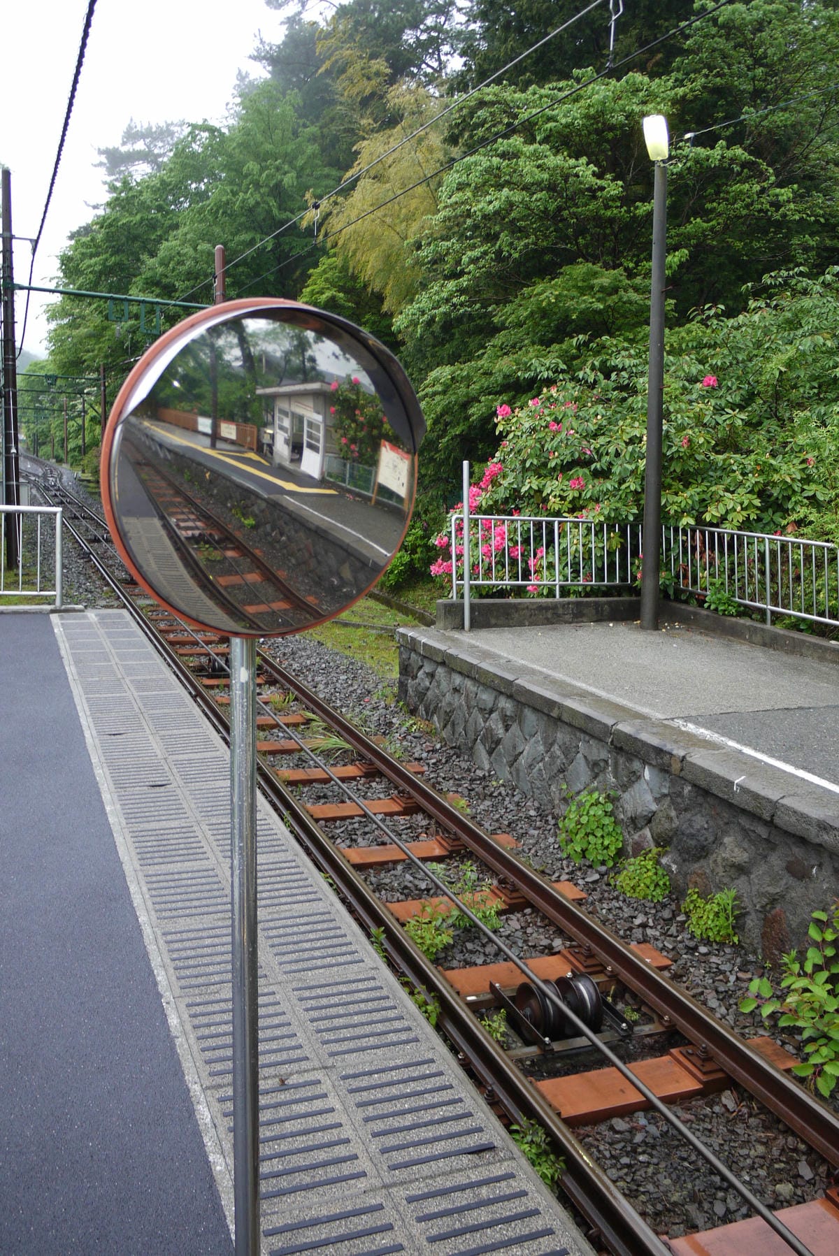 0021-4.JPG