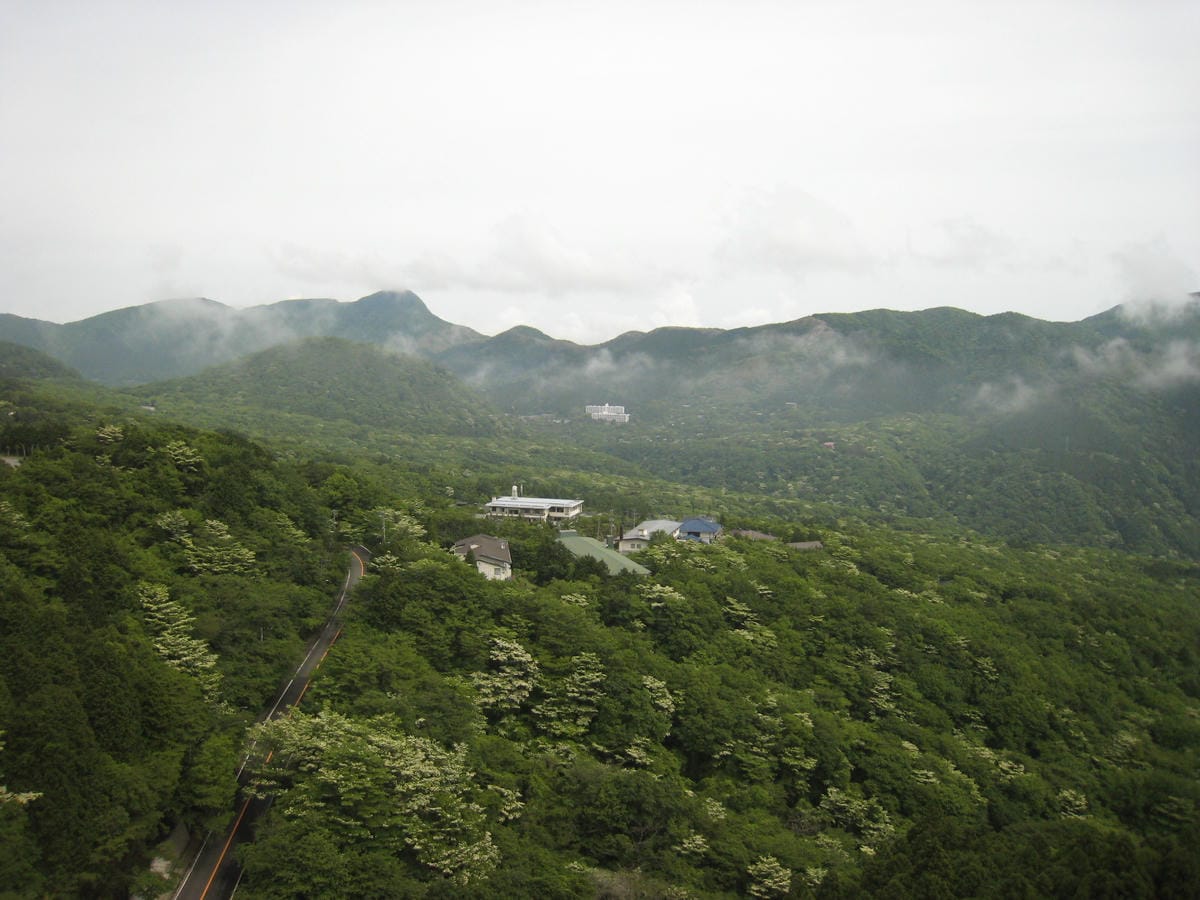 IMG_1273.JPG