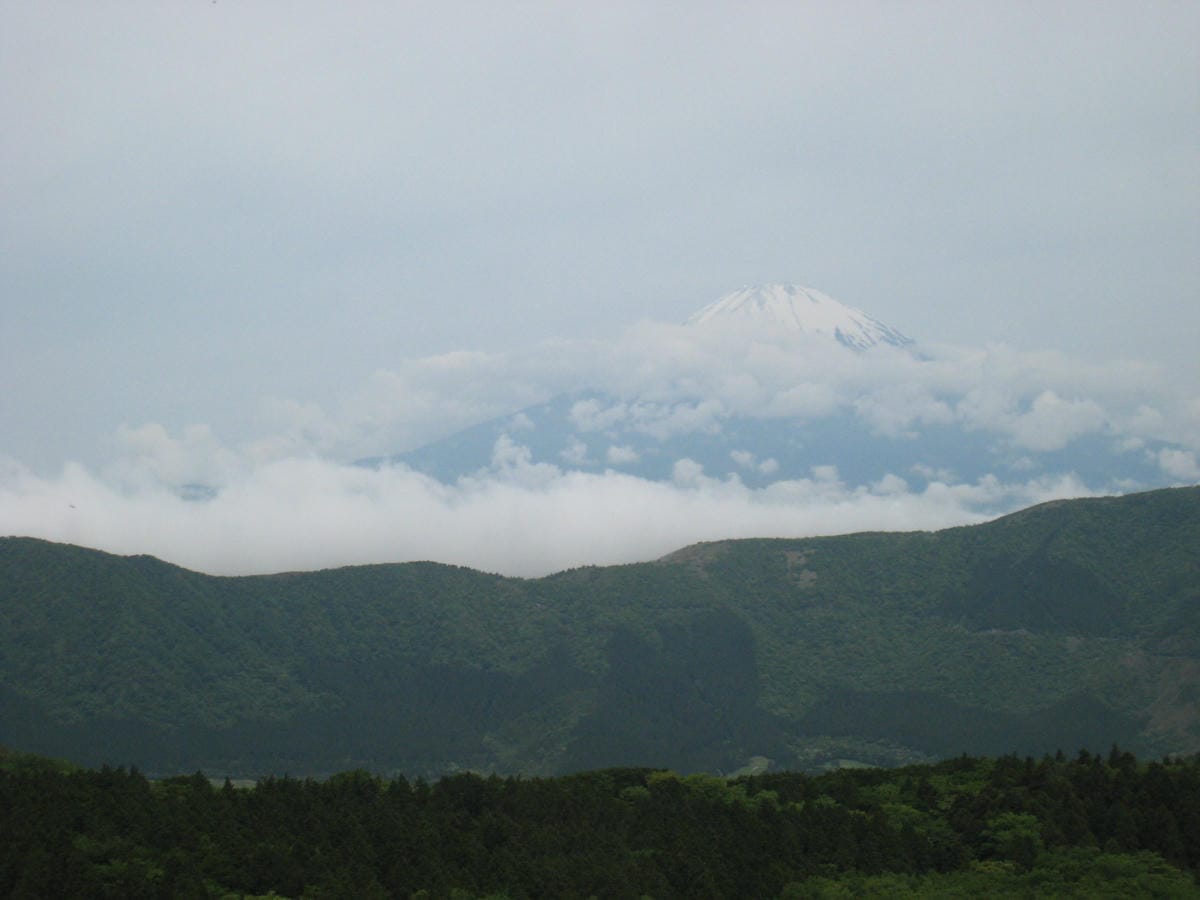 IMG_1296.JPG