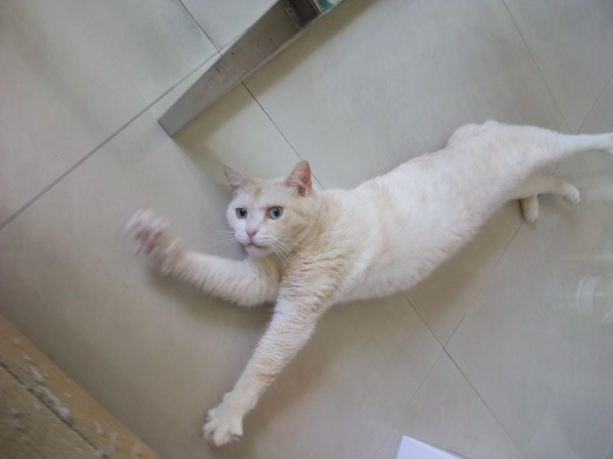 DSCF3508.JPG