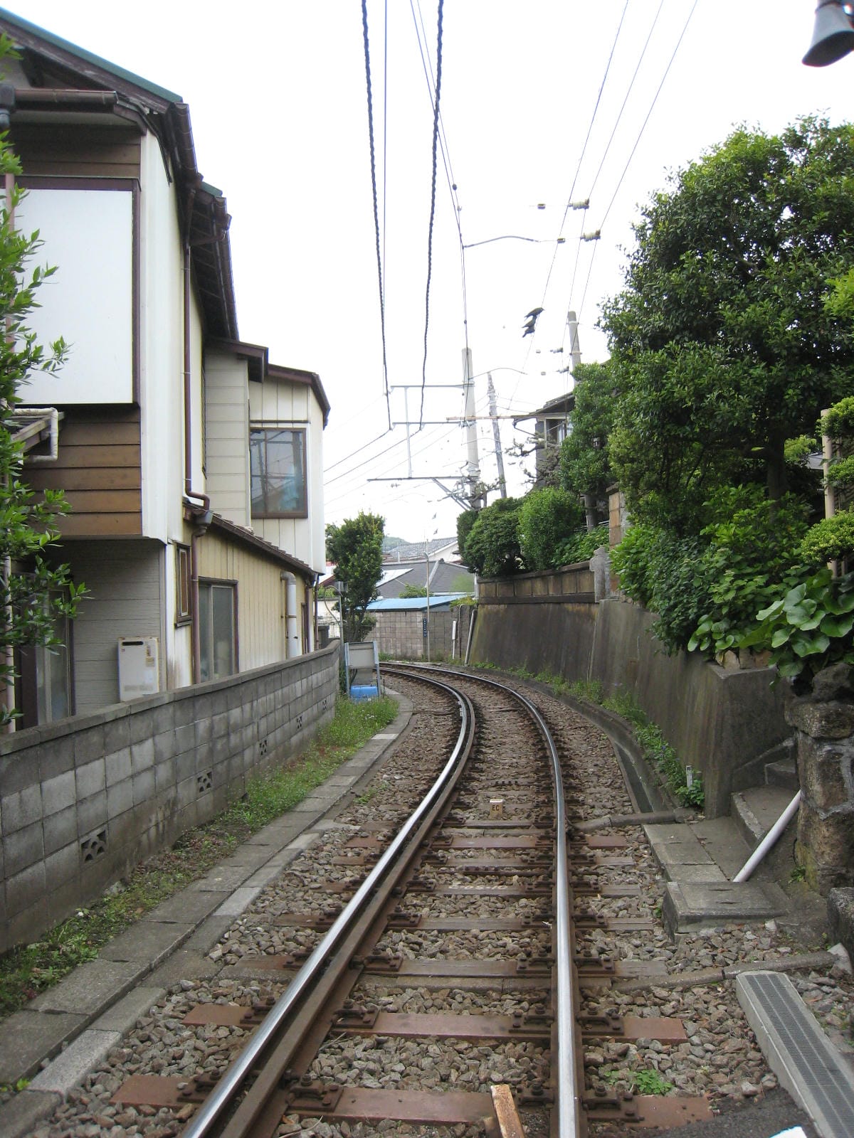 IMG_0759.JPG IMG_0759.JPG