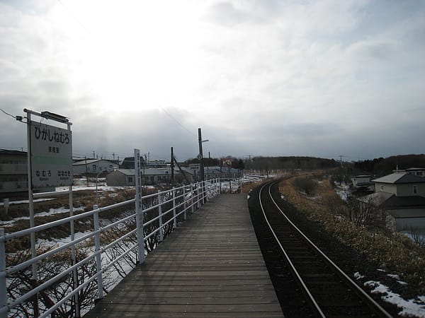 IMG_3803.JPG