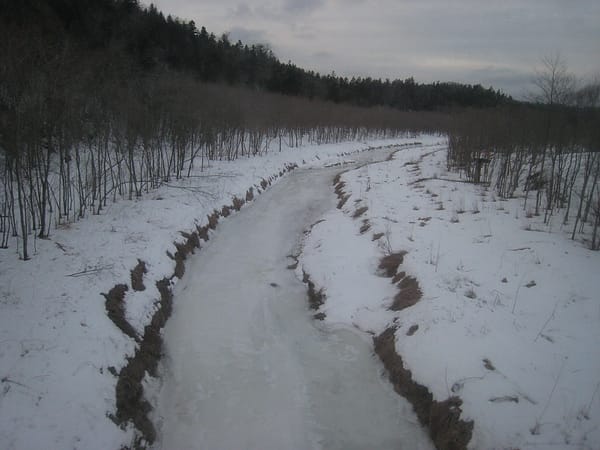 IMG_3619.JPG
