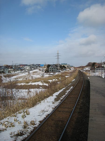 IMG_3810.JPG