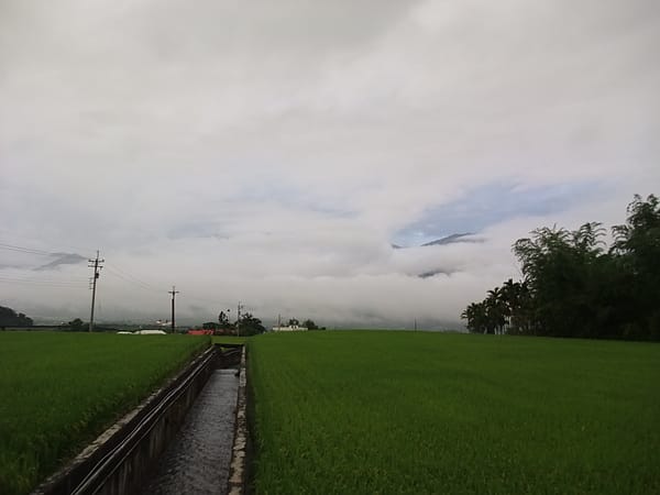 0004.JPG 0004.JPG