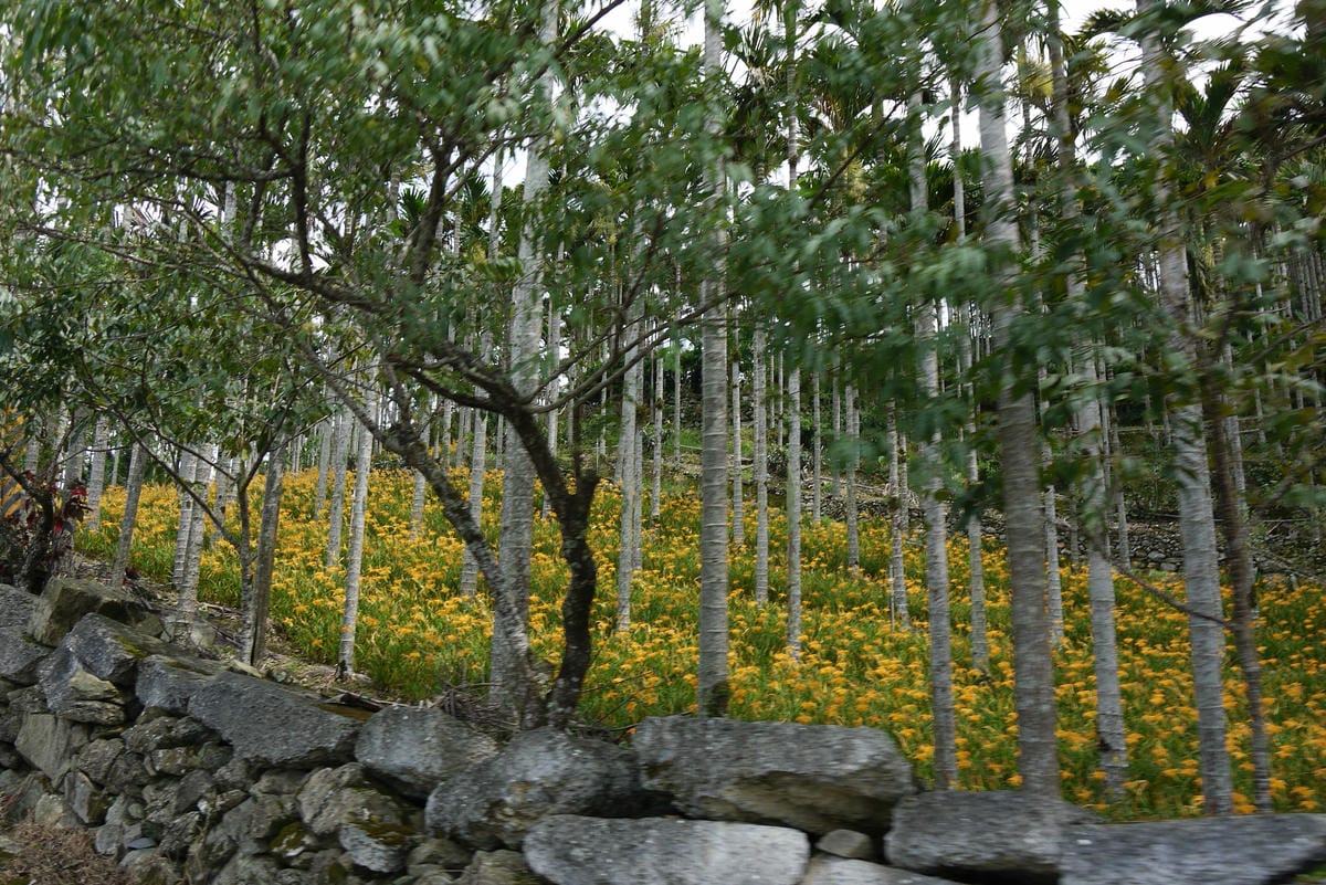 P1100269.JPG