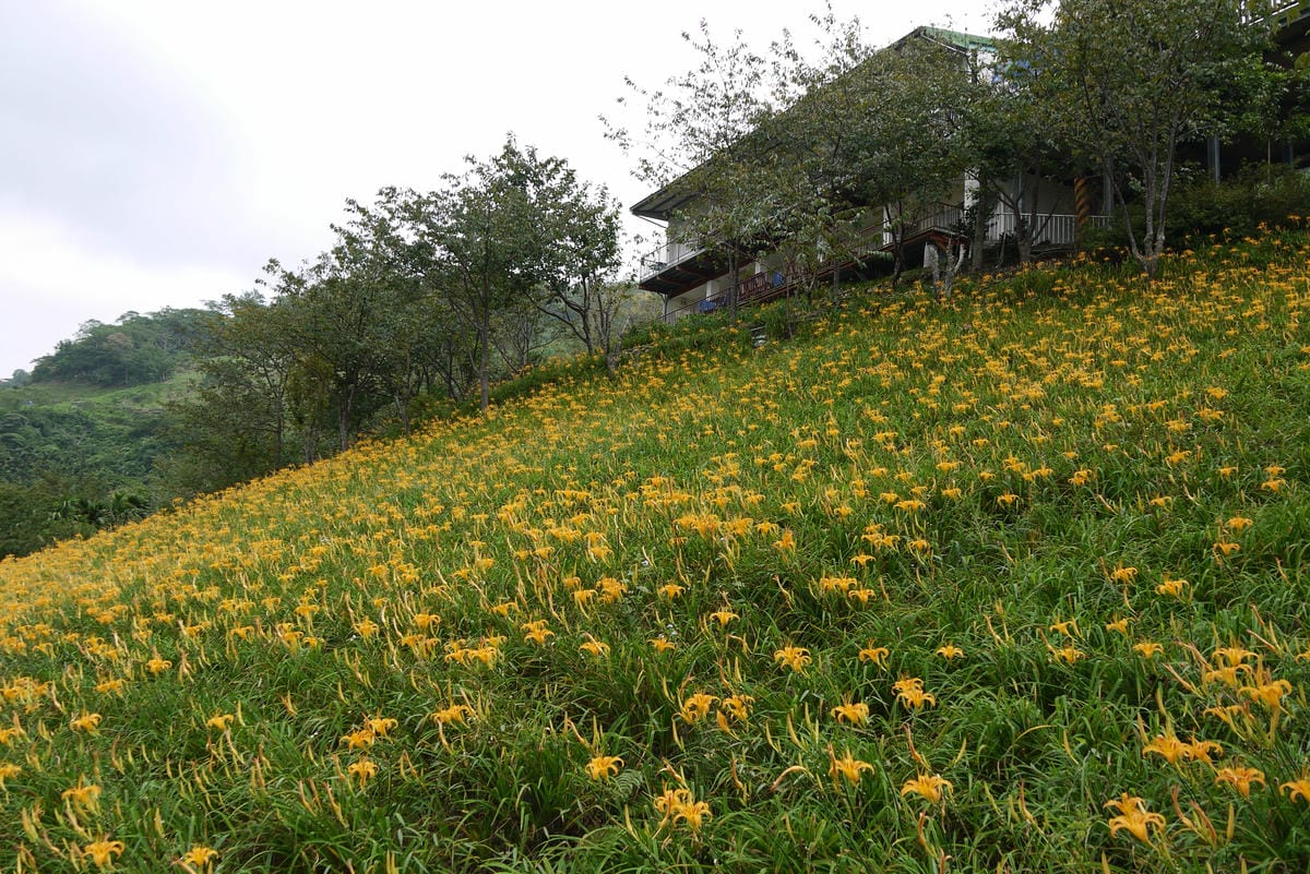 P1100305.JPG