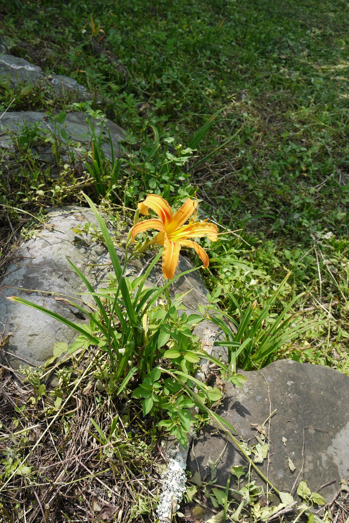 P1100267.JPG