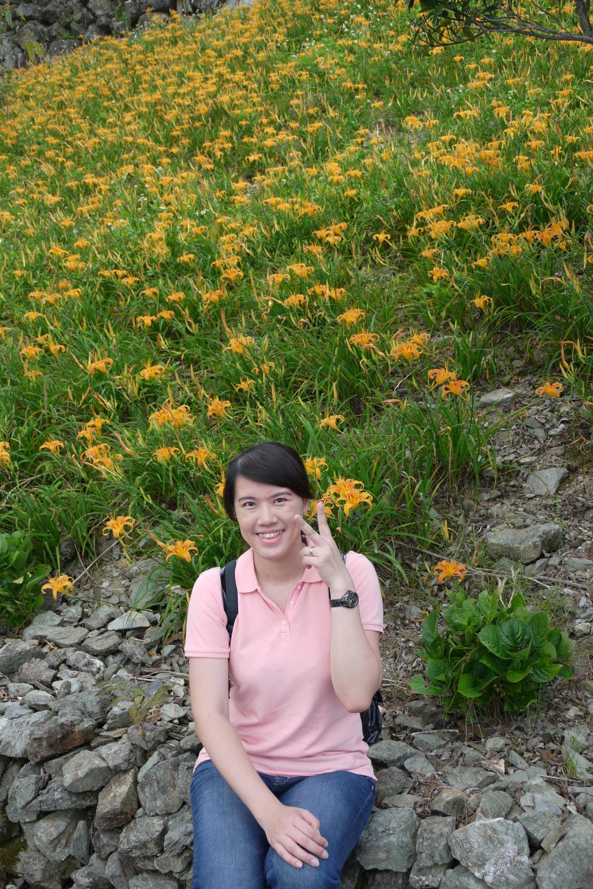 P1100316.JPG P1100316.JPG