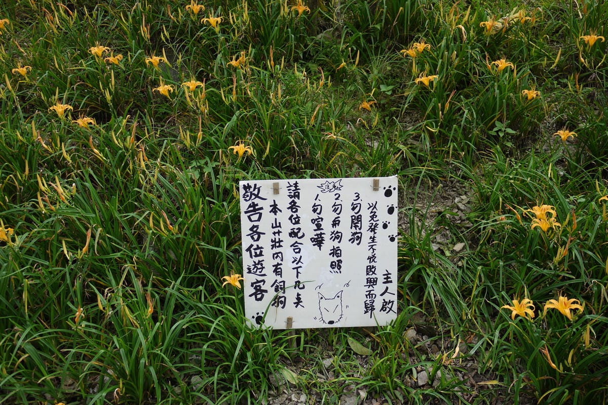 P1100441.JPG