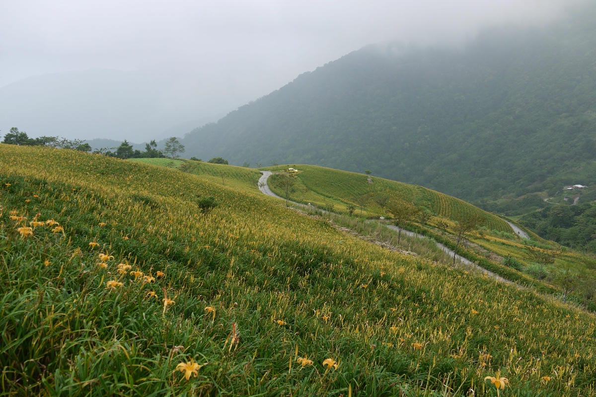 P1100492.JPG