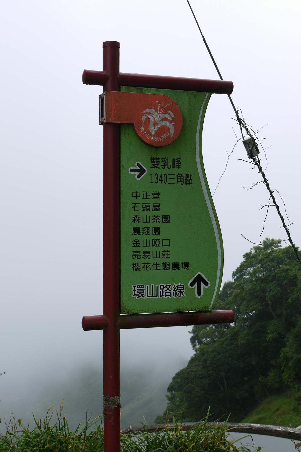 P1100542.JPG